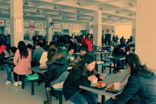 中学食堂爆料视频大全下载,爆料视频大全背后的真实饮食现状